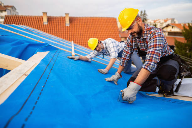 Best Roof Gutter Cleaning  in Kearns, UT